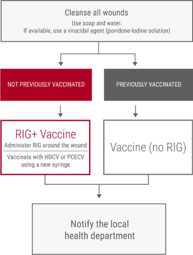 post exposure prophylaxis rabies        
        <figure class=