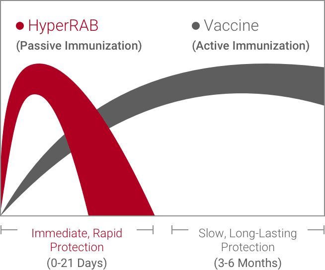 What Is The Treatment For A Rabies Exposure Rabies Watch   Cedba423 B633 E465 1cb3 4dde0e062c84